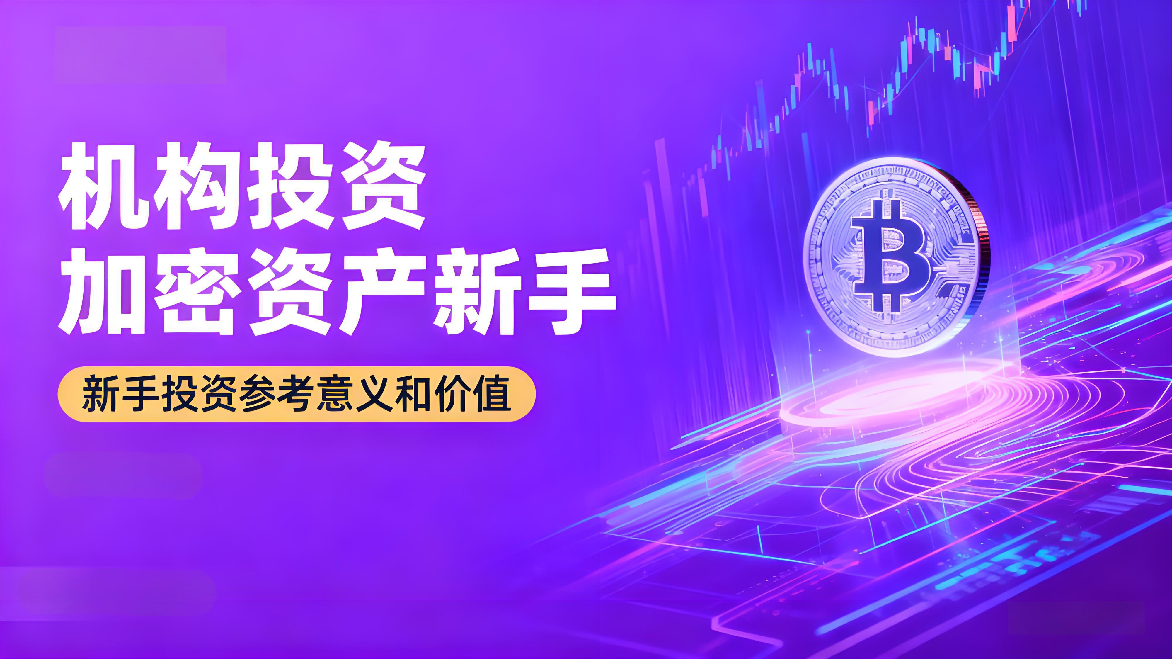 机构投资的加密资产对新手有什么启示？